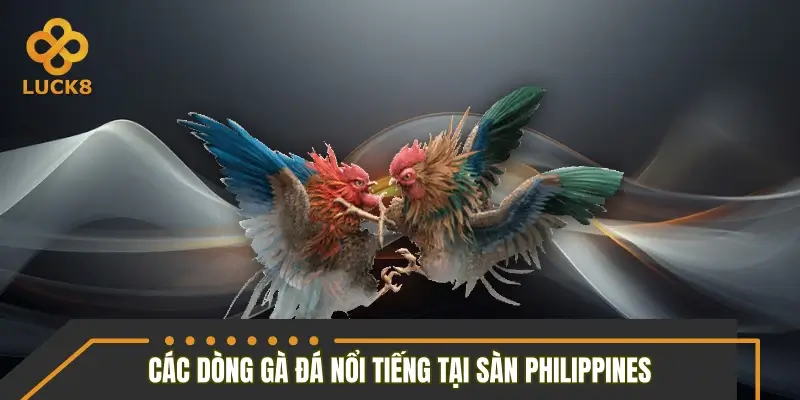 Những dòng gà đá nổi tiếng tại sàn Philippines Những dòng gà đá nổi tiếng tại sàn Philippines