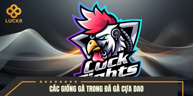Những giống gà thường xuất hiện trong các trận đấu cựa dao Những giống gà thường xuất hiện trong các trận đấu cựa dao