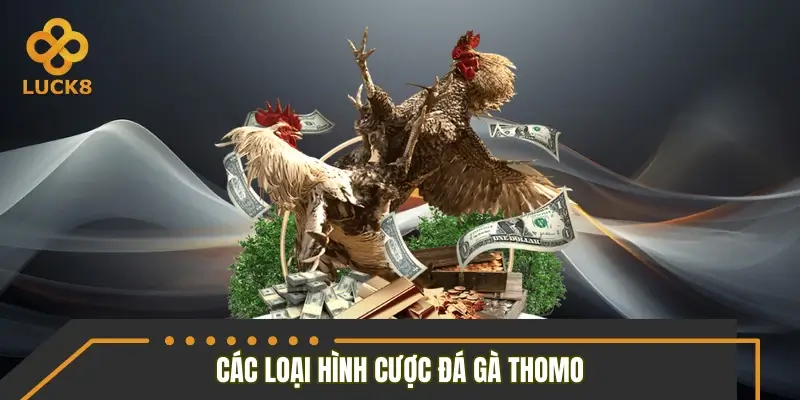 Phân loại cửa cược Thomo được áp dụng trên LUCK8 Phân loại cửa cược Thomo được áp dụng trên LUCK8