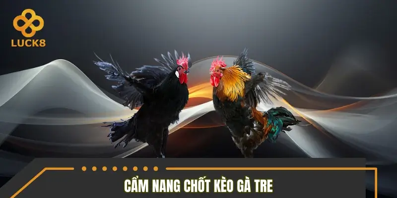 Cẩm nang chốt kèo gà tre chuẩn không cần chỉnh