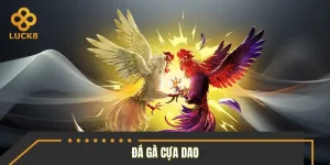 Đá Gà Cựa Dao – Kịch Tính Từng Giây, Thu Lời Cực Nhanh