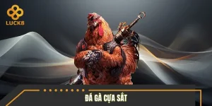 Đá Gà Cựa Sắt - Sát Thương Lớn, Tỷ Lệ Ăn Tăng Đột Biến