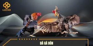 Đá Gà Đòn – Lối Chơi Thực Chiến Tăng Tỷ Lệ Thắng Đến 99%