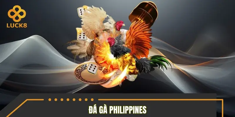 Đá gà Philippines là gì? Đá gà Philippines là gì?