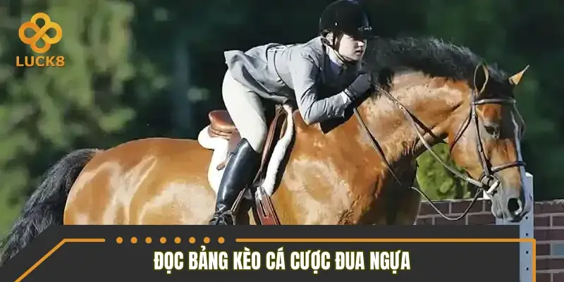 Cách đọc bảng kèo để nhận diện lợi thế ngay từ đầu Cách đọc bảng kèo để nhận diện lợi thế ngay từ đầu