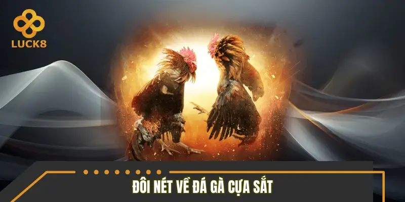 Đôi nét về đá gà cựa sắt