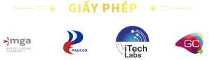 GIấy Phép