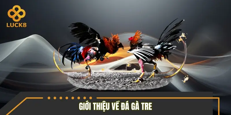 Tìm hiểu hình thức đá gà tre