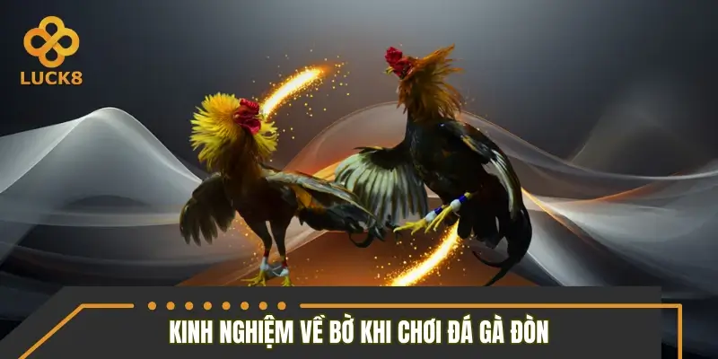 Kinh nghiệm về bờ nhanh khi chốt gà đòn Kinh nghiệm về bờ nhanh khi chốt gà đòn