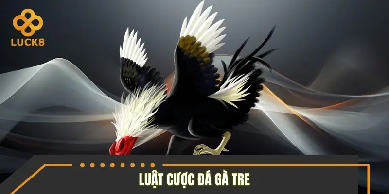 Tìm hiểu luật cược đá gà tre mới 2026