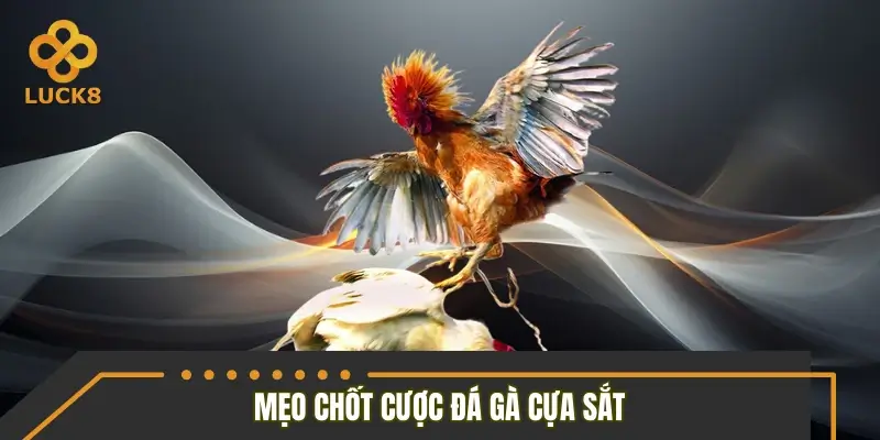 Điểm qua mẹo chốt kèo cựa sắt chuẩn như dân chuyên