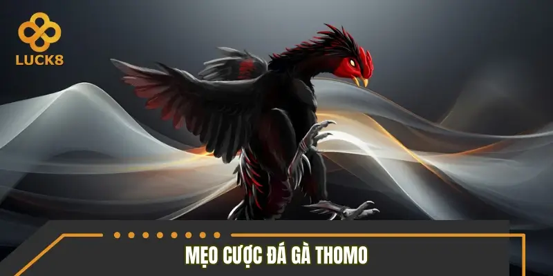 Tips chơi đá gà Thomo chinh phục mọi ván cược Tips chơi đá gà Thomo chinh phục mọi ván cược