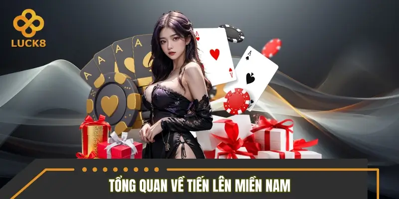 Góc nhìn tổng quan về tiến lên miền Nam Góc nhìn tổng quan về tiến lên miền Nam