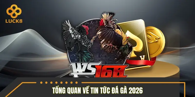 Tổng quan về tin tức đá gà 2026