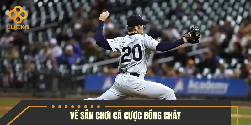 Toàn cảnh về sân chơi cá cược bóng chày